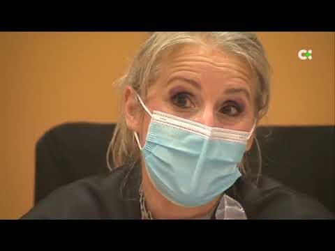 Guía para Denunciar Delitos en Basauri