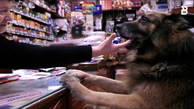 Guía de Guarderías en Basauri
